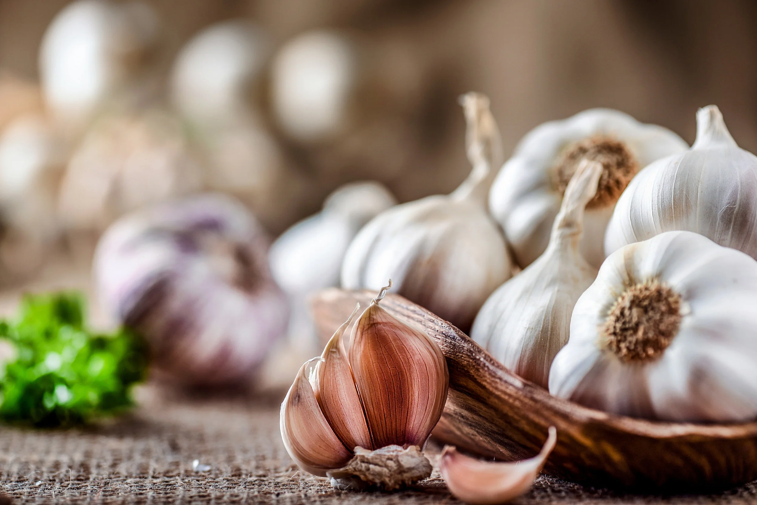 Marlborough Food & Beverage Innovation Cluster
