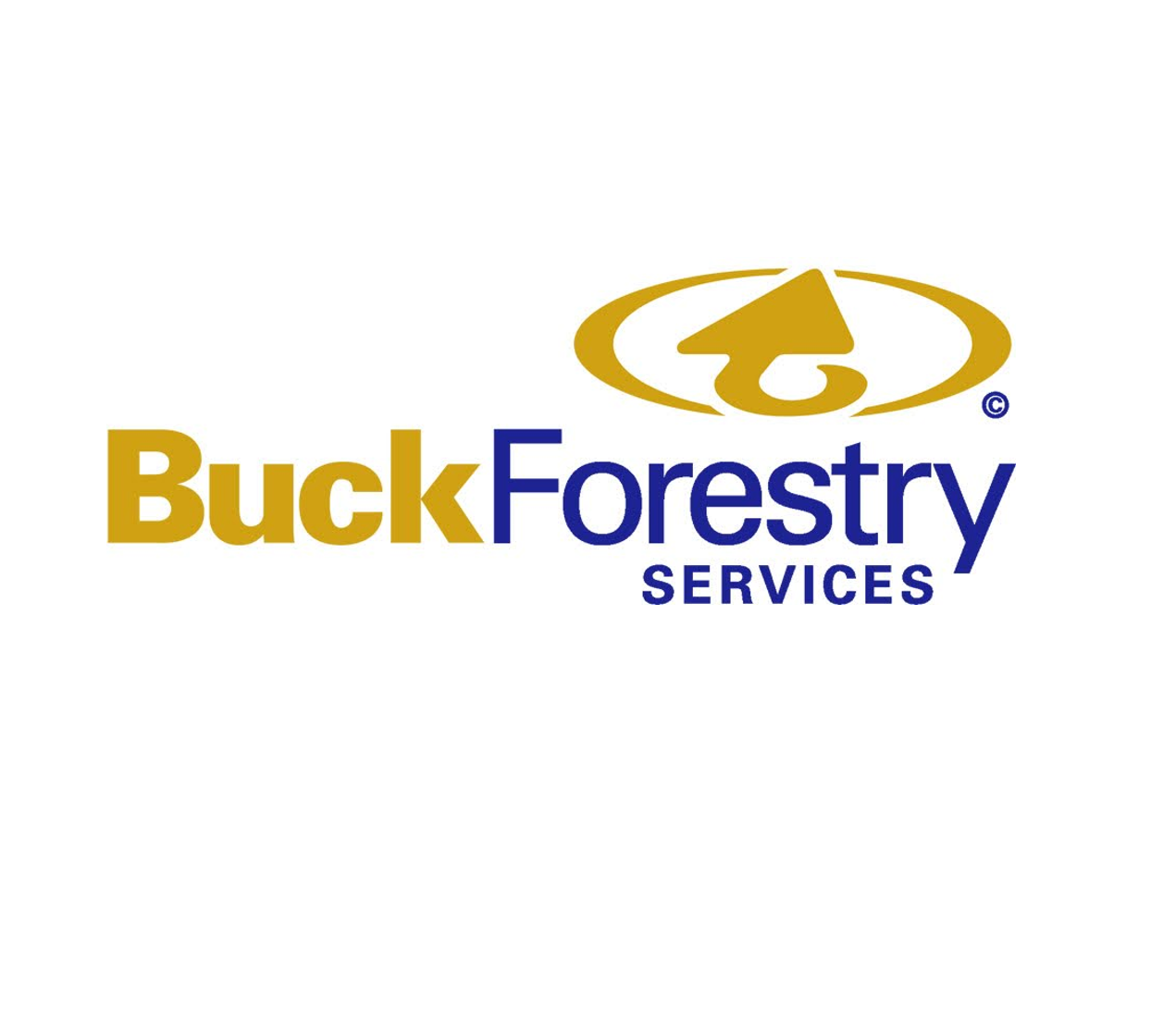Buck Forestry website logo.png