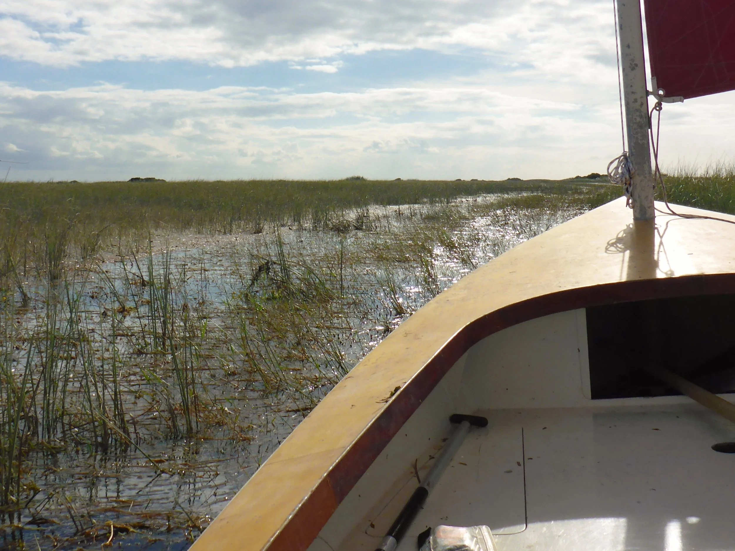 sawgrass sail