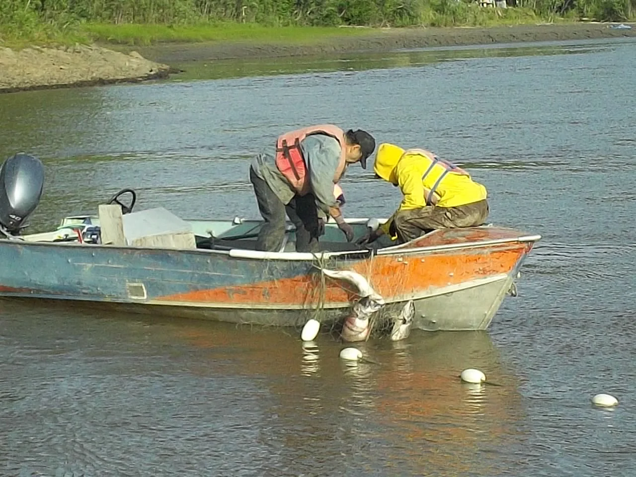 These guys offered us a king salmon
