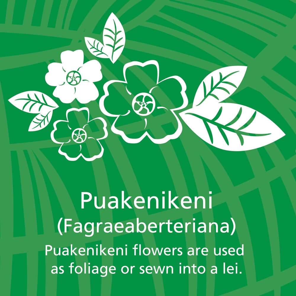 PuakenikeniOutline.jpg