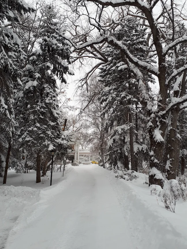 The lane leading up the estate. Just about picture perfect for a winter wedding.