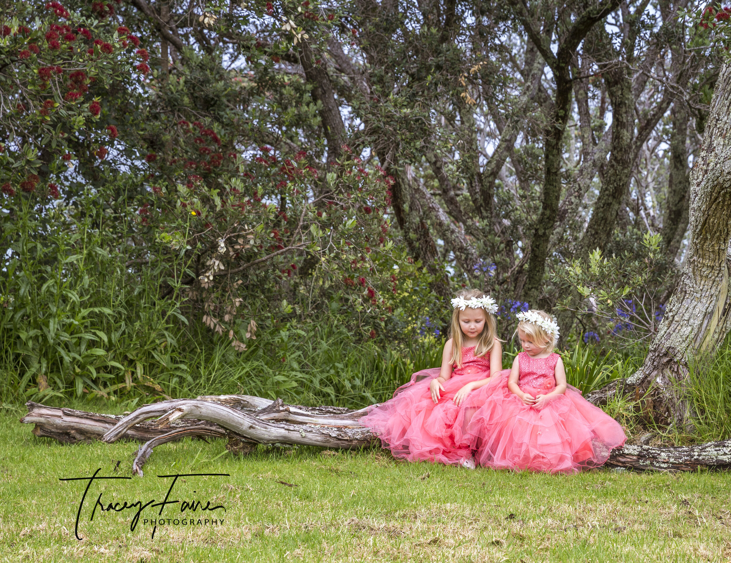 Grace &amp; Ellie Muscik Point Reserve Bucklands Beach