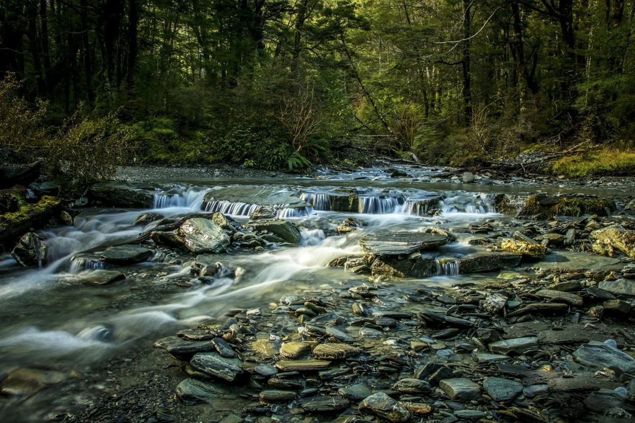 Middle Earth New Zealand