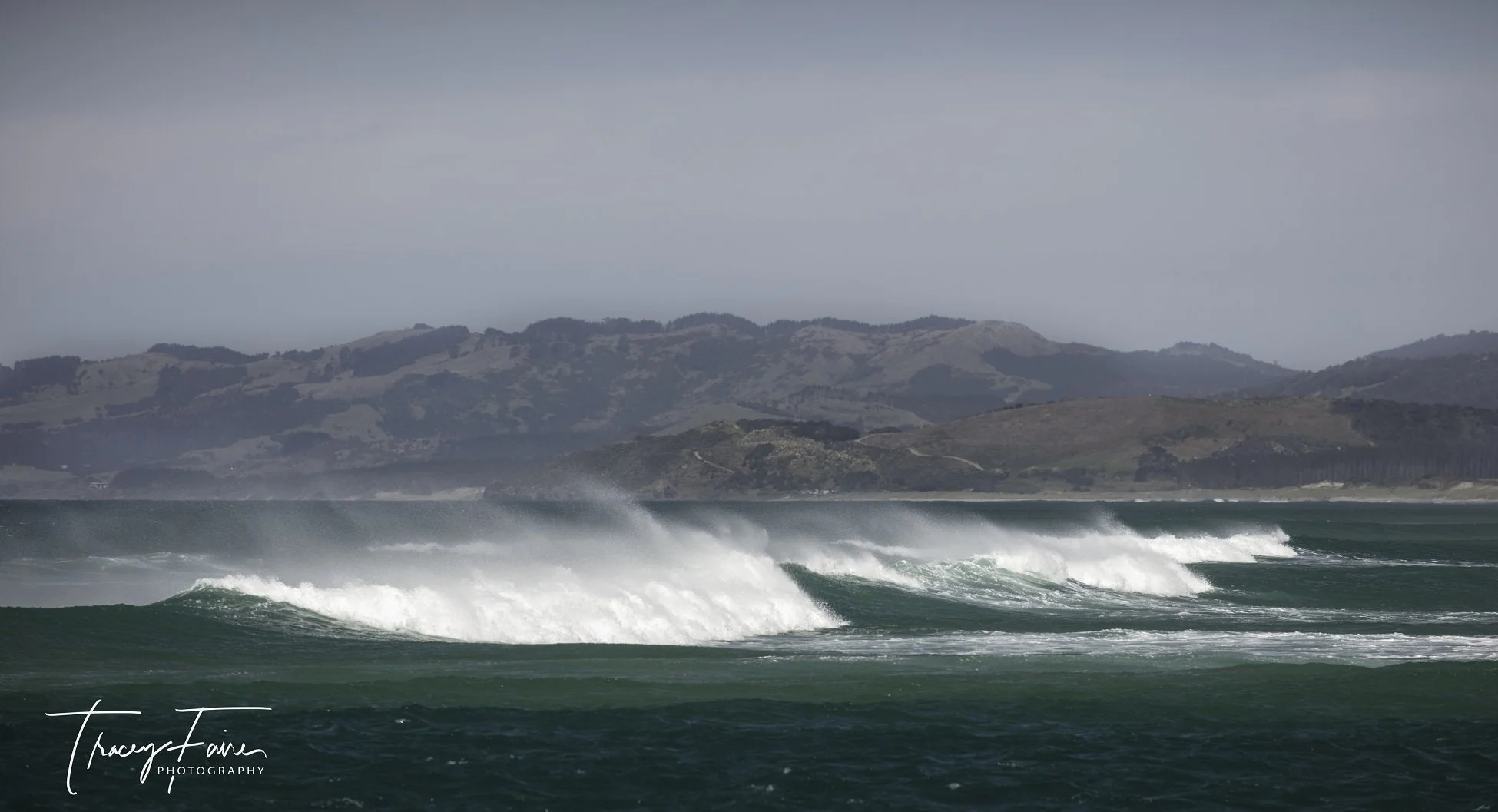 Blowing a gale off Te Arai