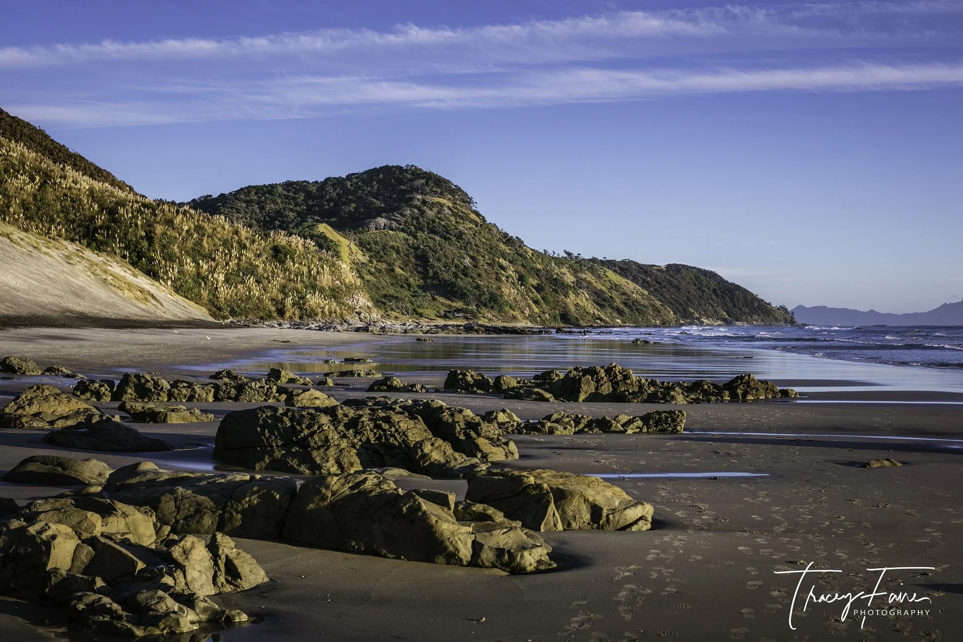 Look what the tide uncovered