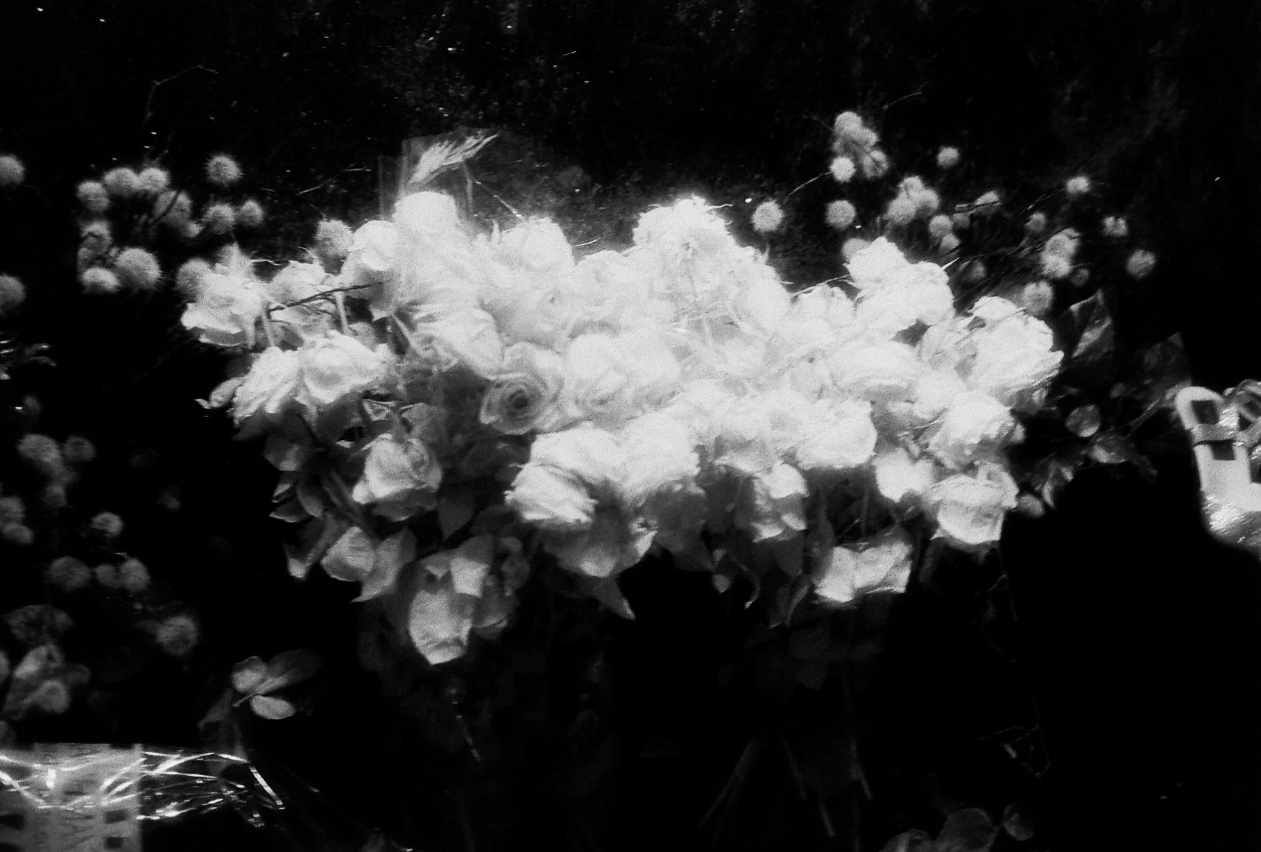 Shot on Infrared film