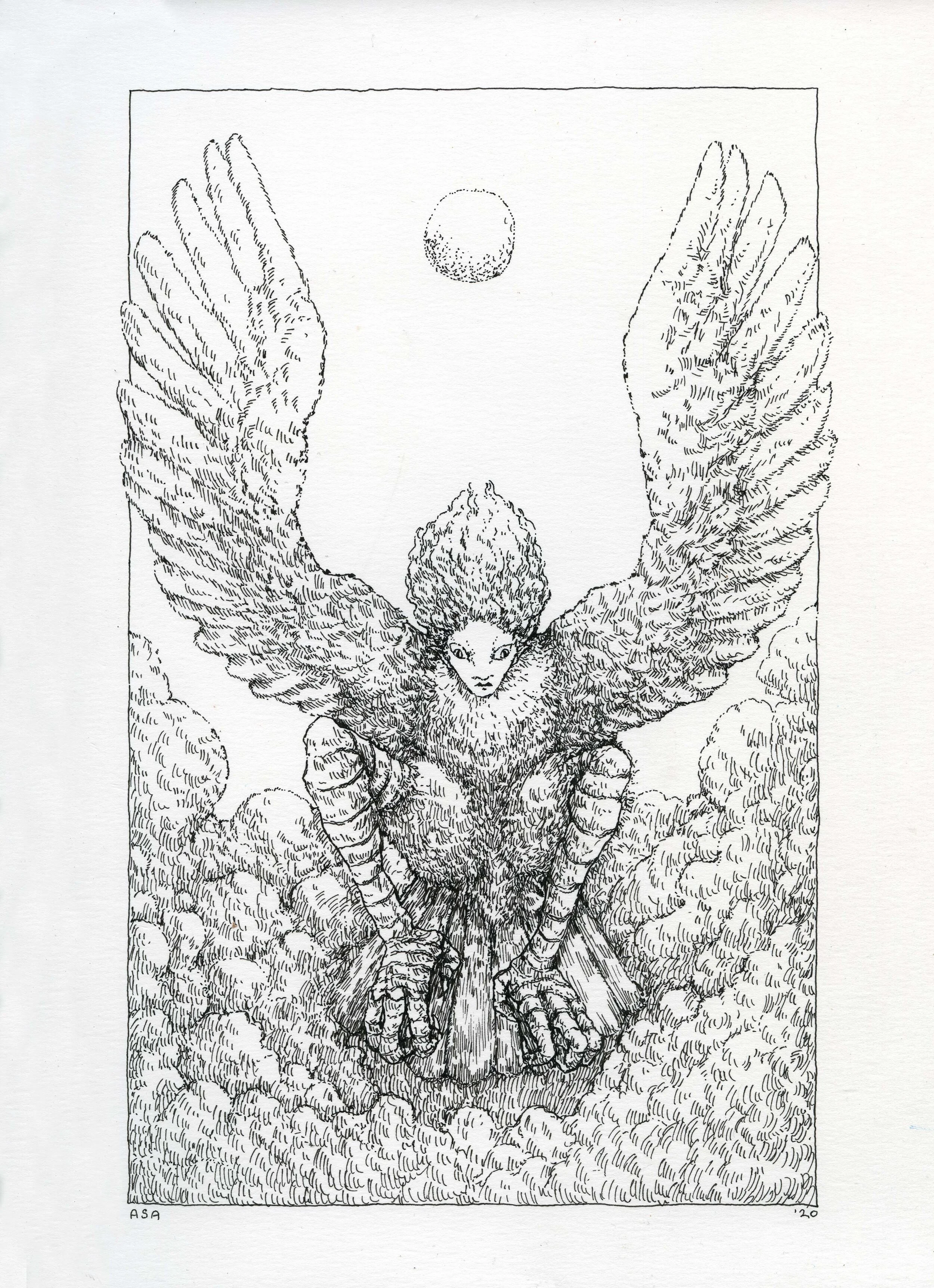 harpy.jpg