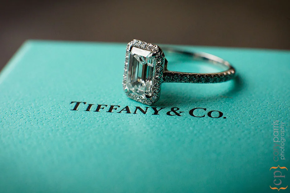 seattle-engagement-portraits-011