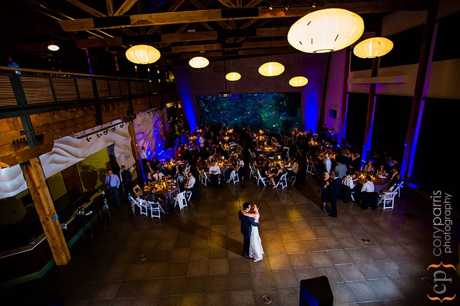 first dance at the Seattle Aquarium