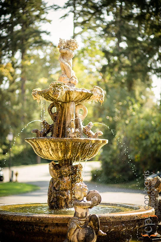 The Fountain at Thornewood Castle