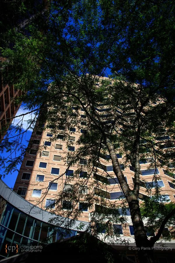Bellevue Hyatt Sanjeet