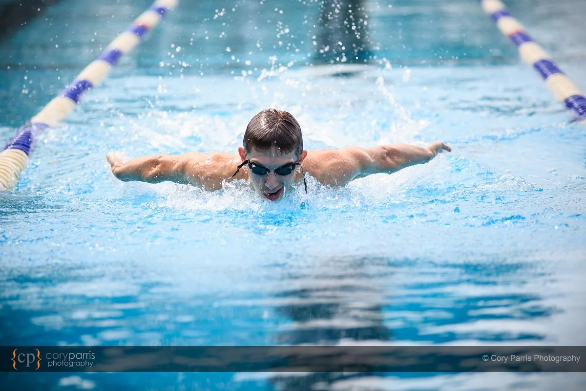 swimming butterfly portraits