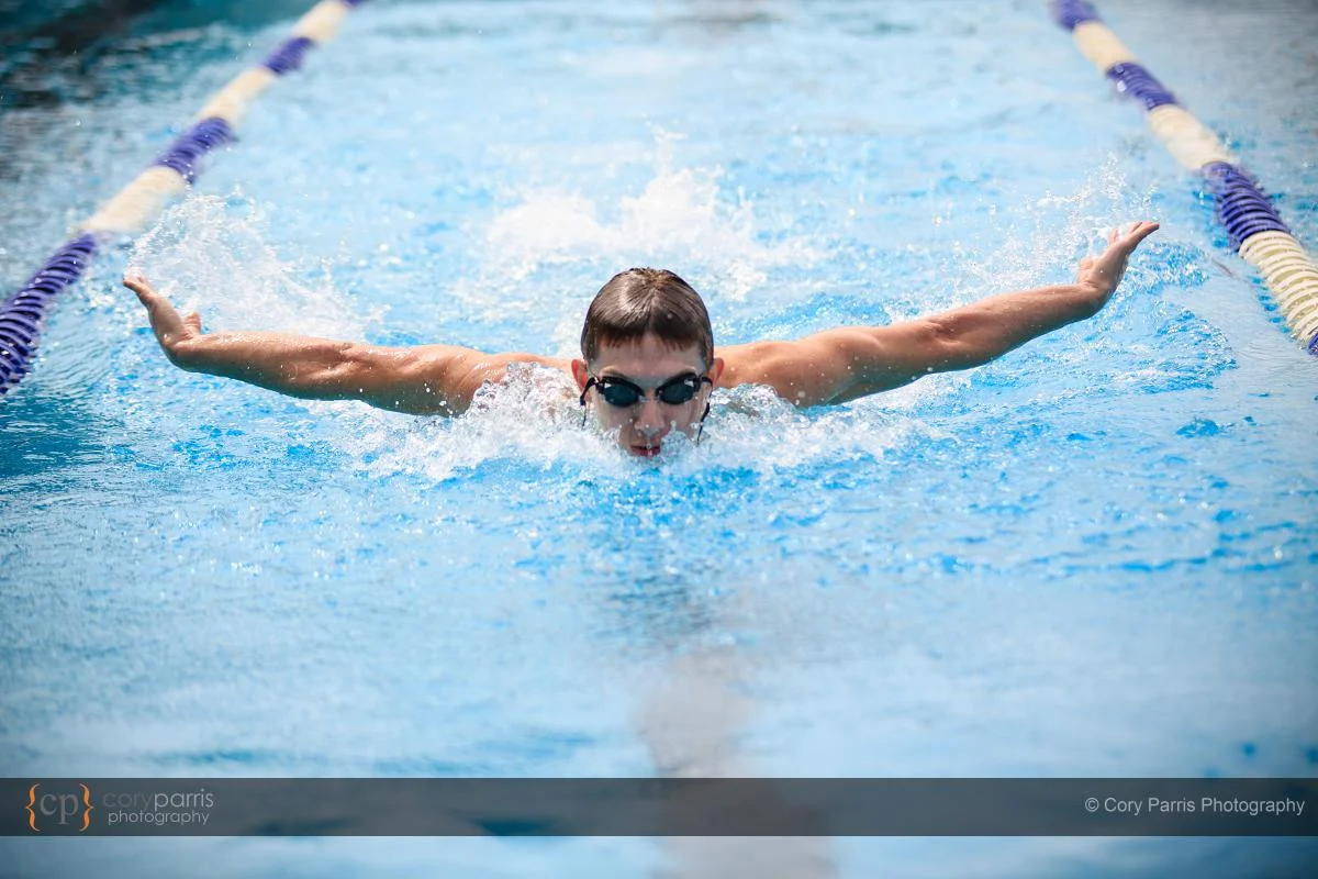 swimming butterfly portraits