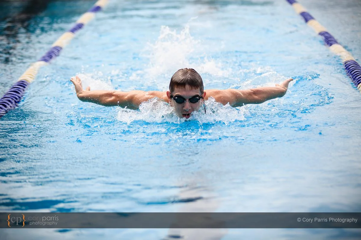 swimming butterfly portraits