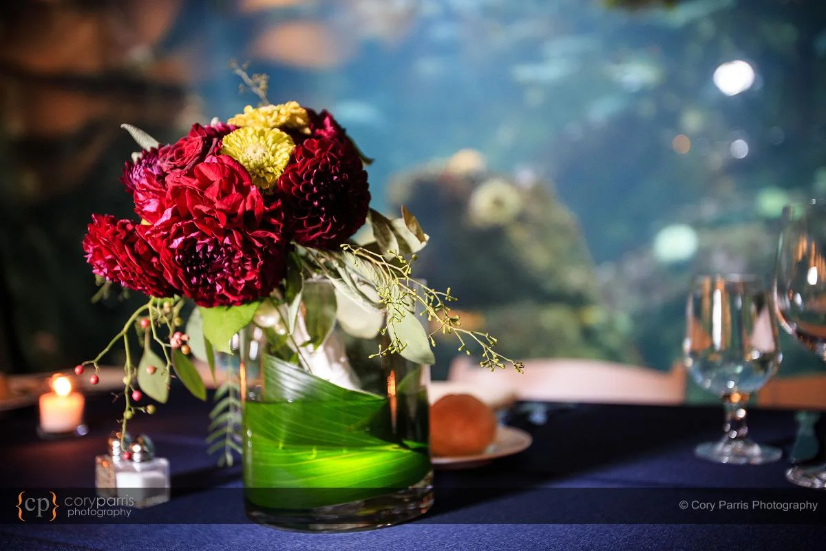 018-seattle-aquarium-wedding