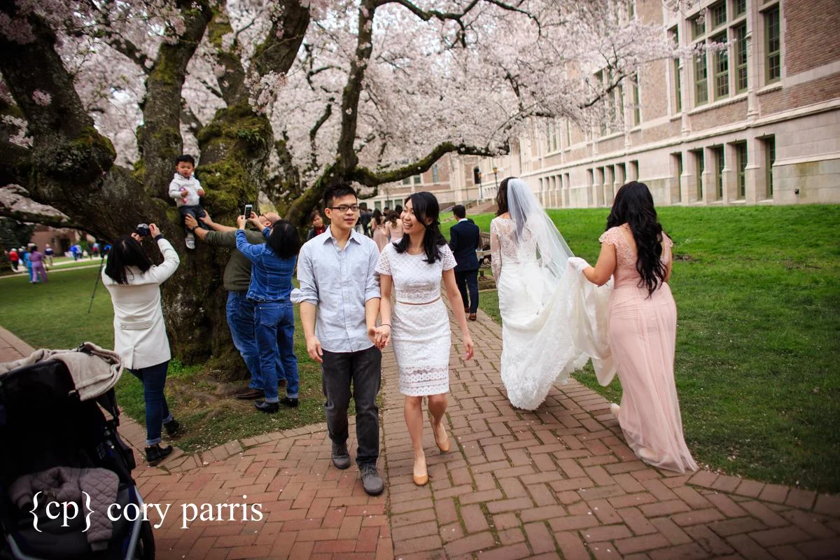 A behind the scenes photo to show what it really looks like when the cherry blossoms are out at UW. People all over taking photographs and we saw somewhere close to a half a dozen brides.