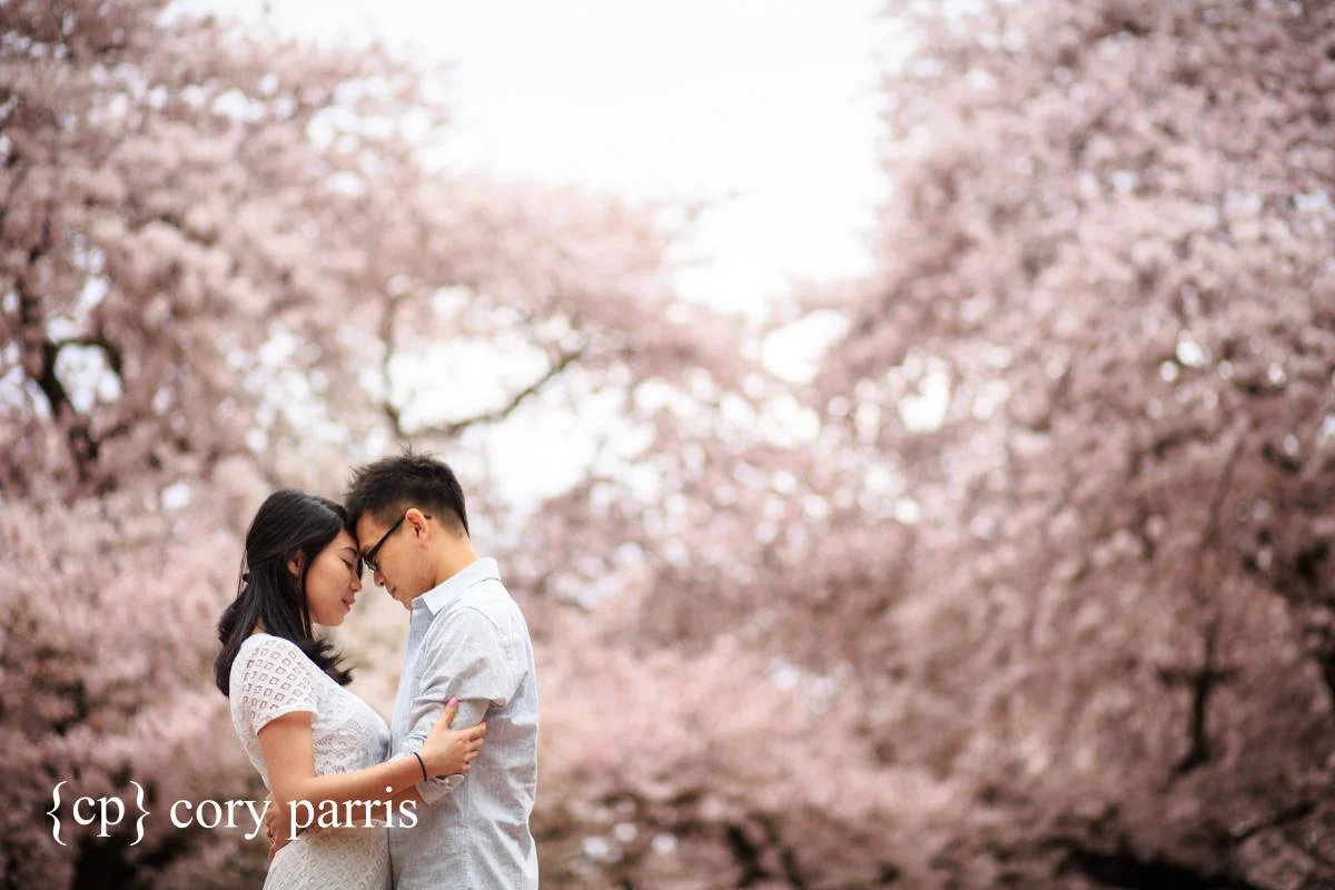 009-uw-engagement-portraits