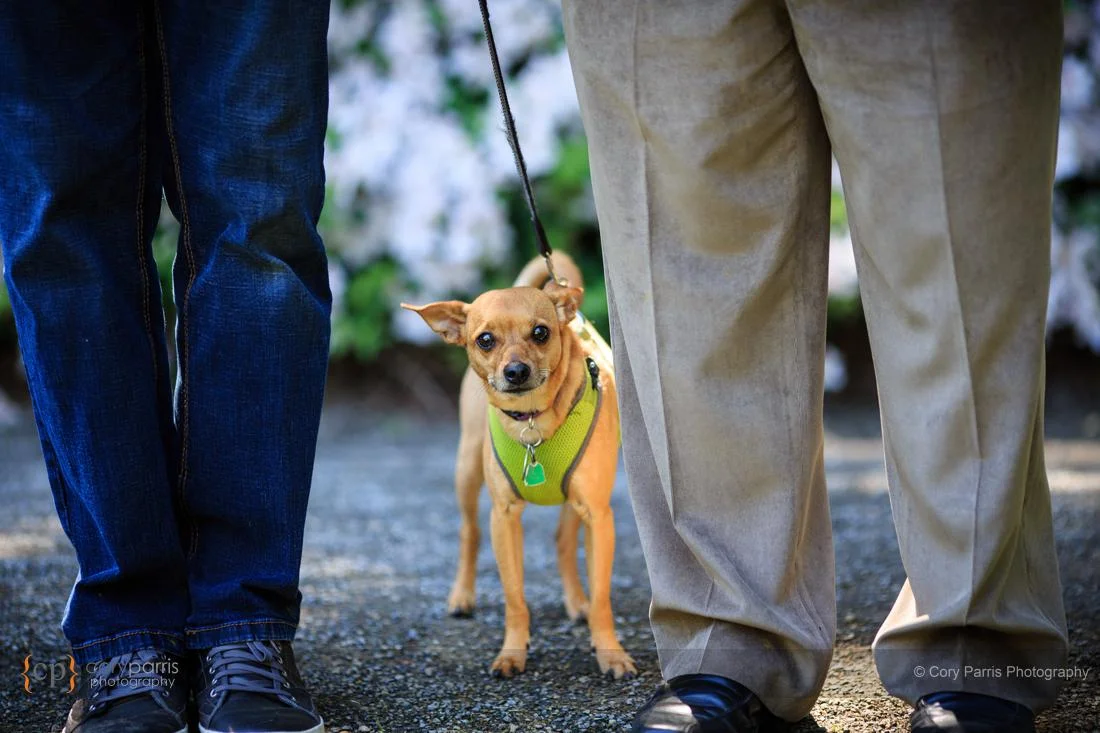 119-seattle-engagement-portraits-lgbt