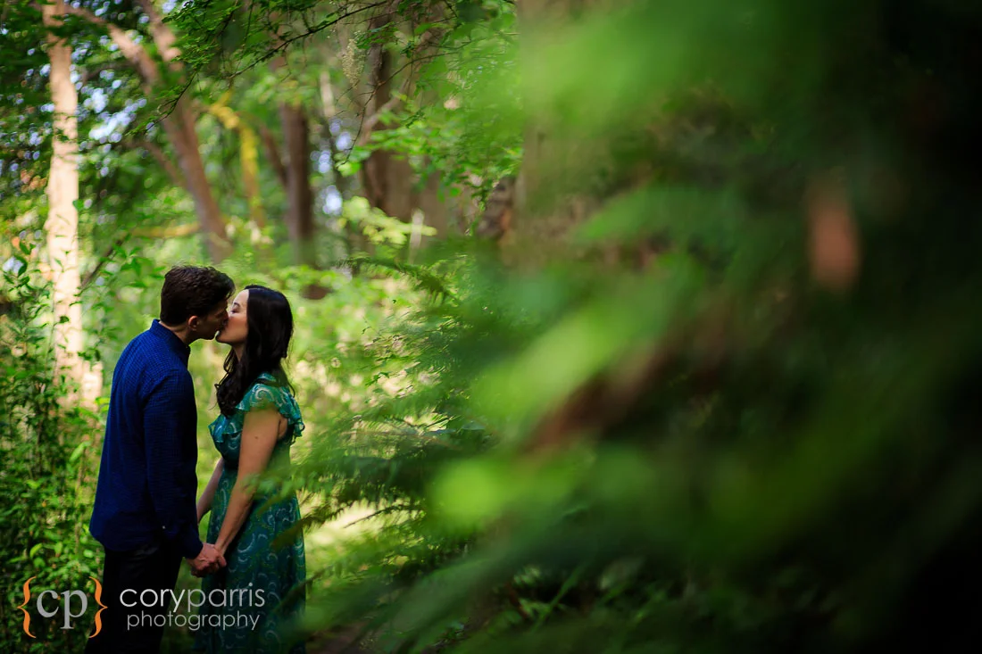 Lincoln Park engagement portraits