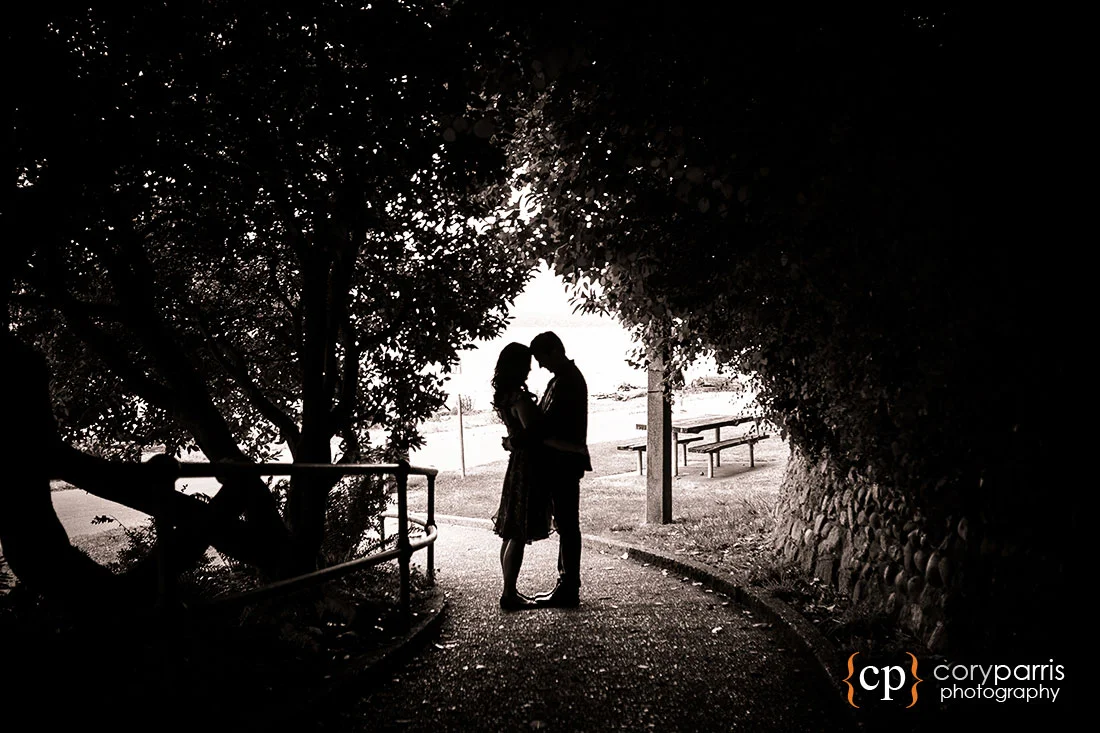 Lincoln Park Engagement Portrait