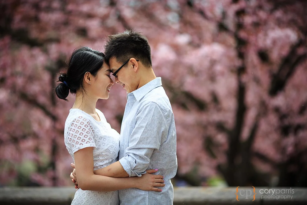 UW-Cherry-Blossom-EP.jpg