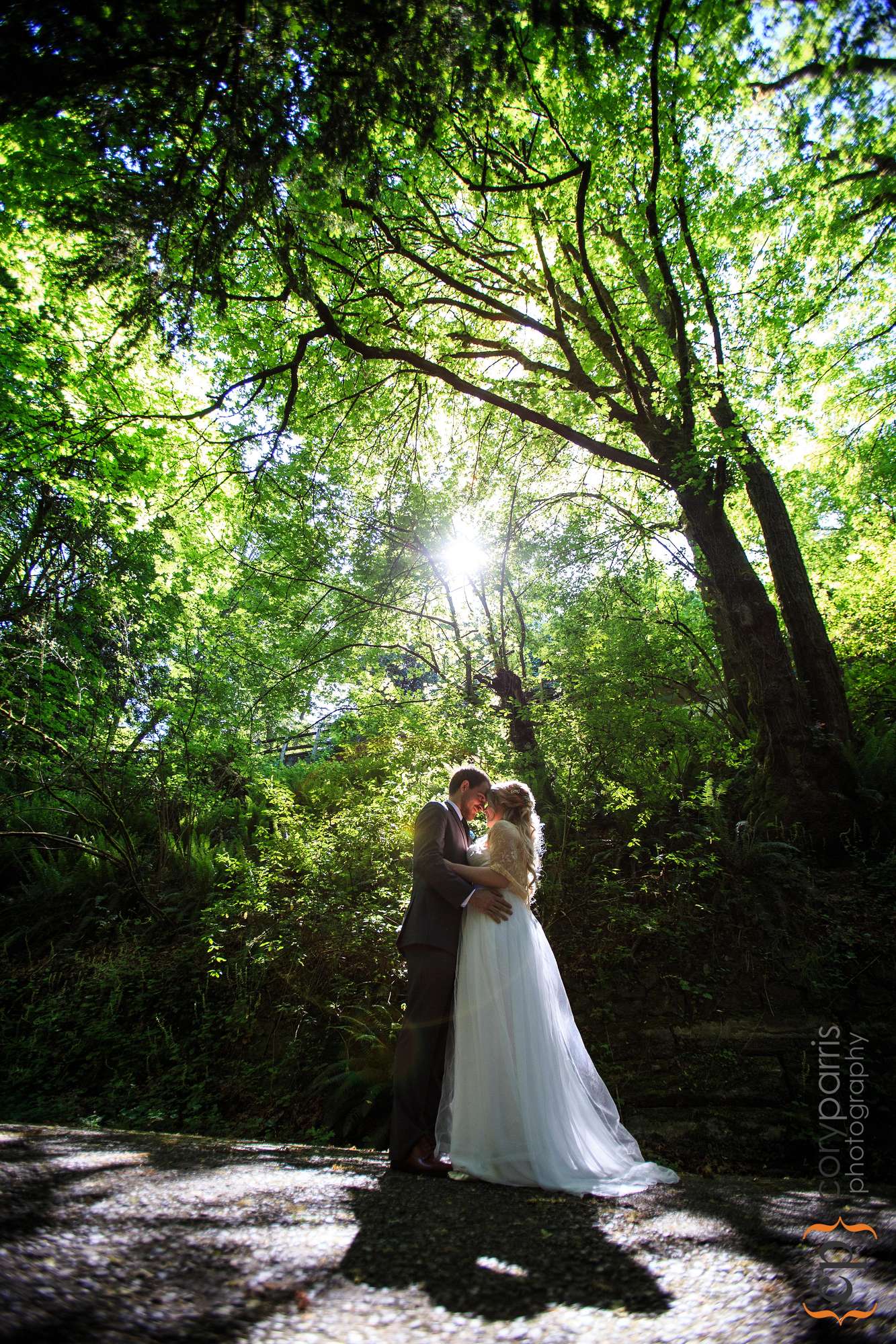 bride and groom portrait in the woods