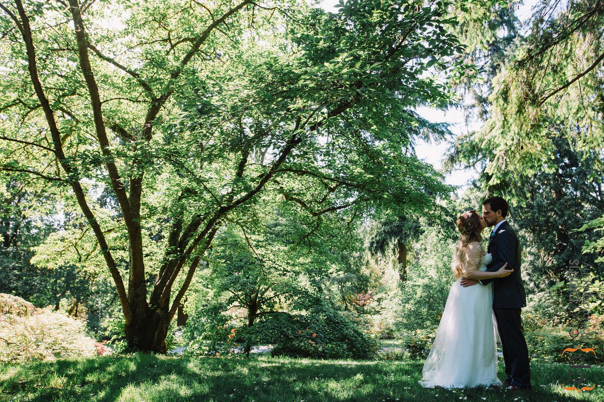 Washington Park Arboretum wedding