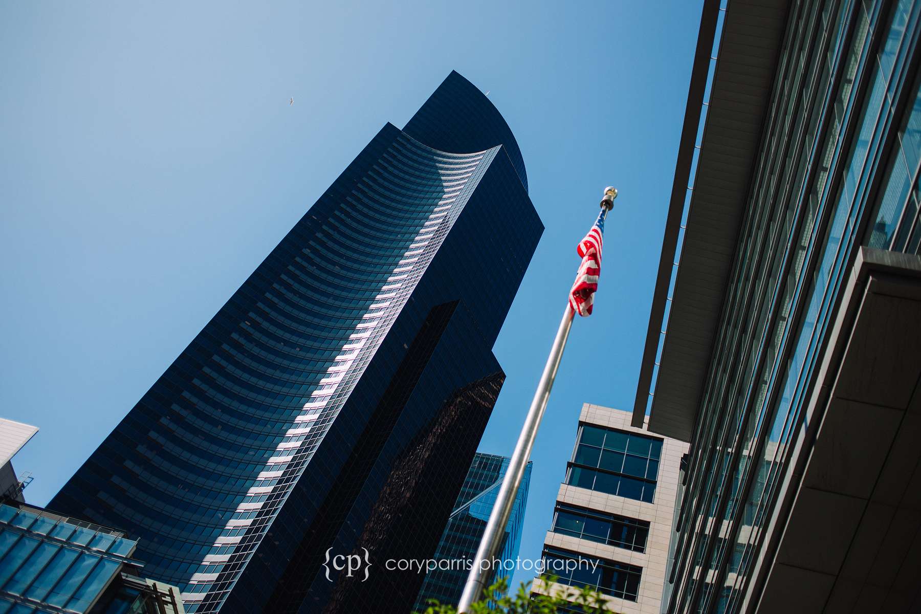  The view in front of the Seattle Municipal Court building of Columbia Tower 