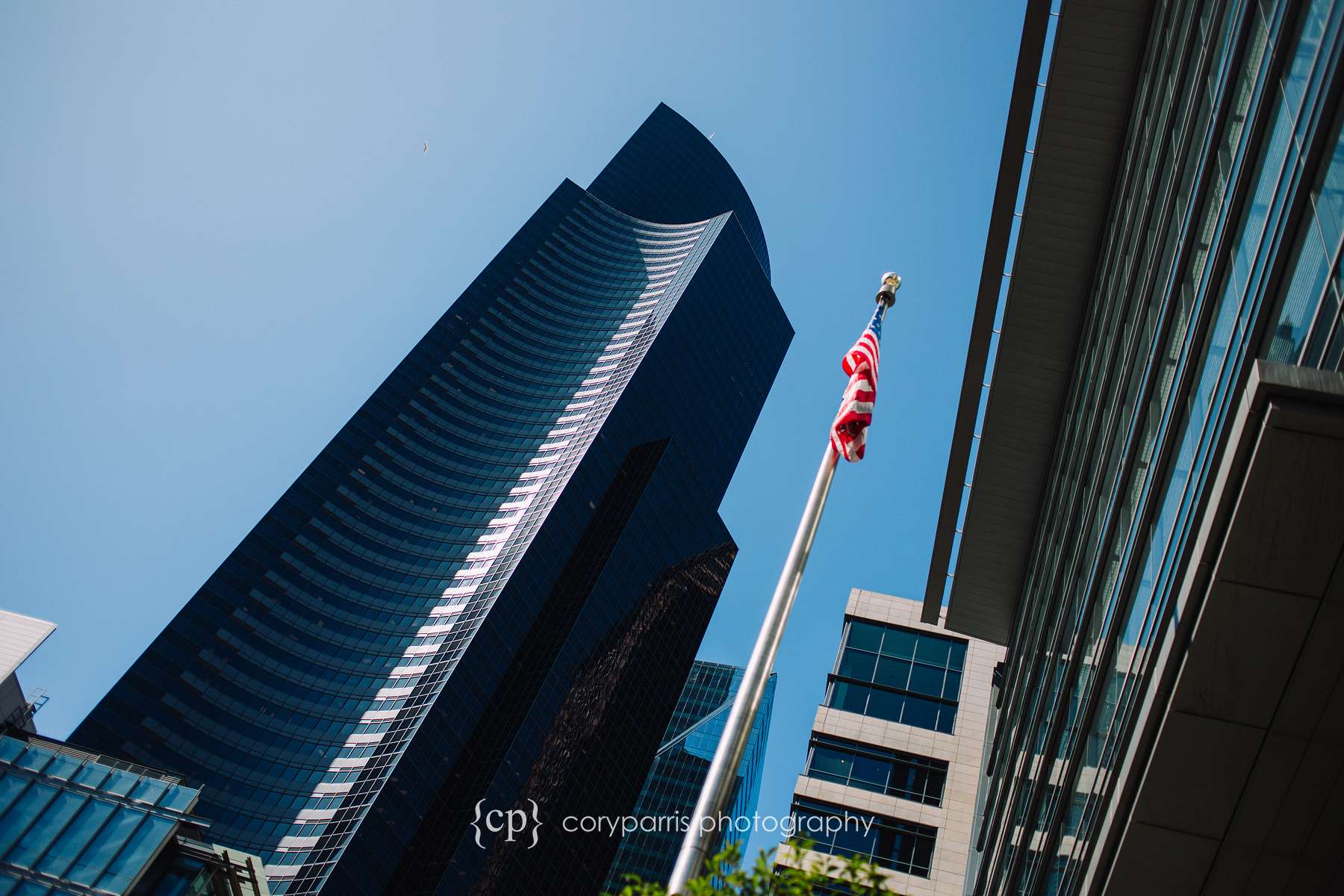 The view in front of the Seattle Municipal Court building of Columbia Tower