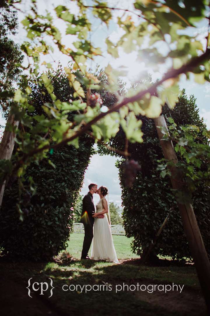 Beautiful wedding photograph with grape vines at a winery in Woodinville