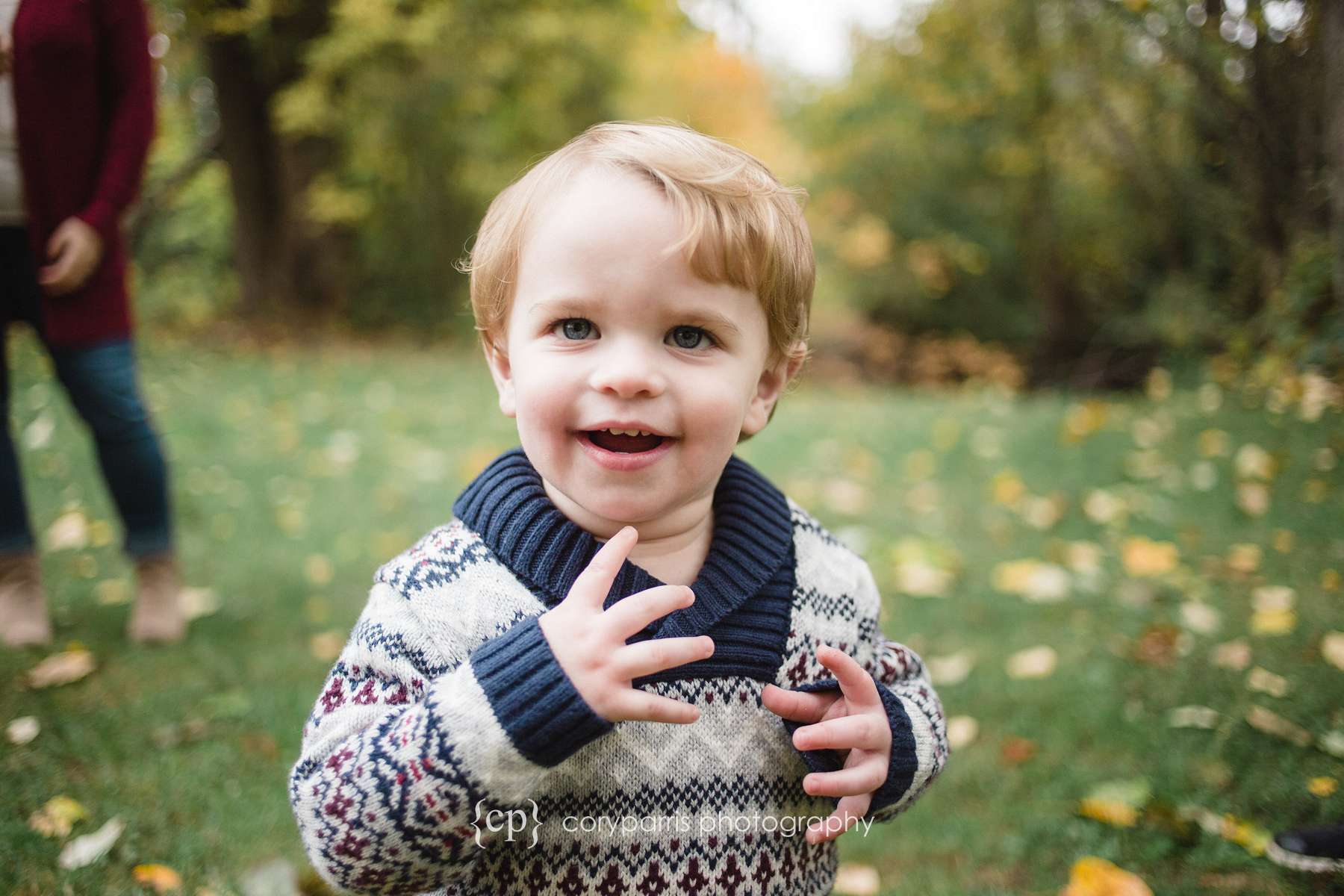 Toddler in fall leaves seattle portrait photography