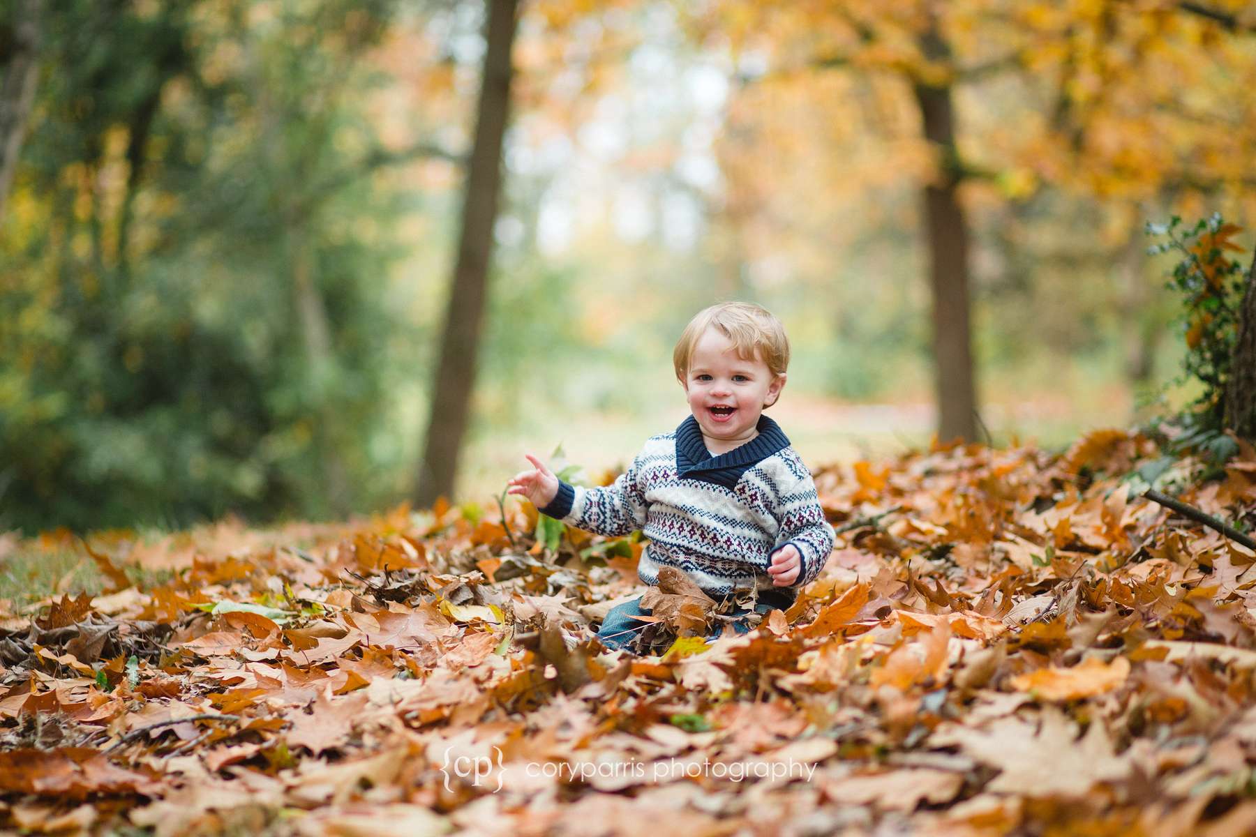 Little boy in fall leaves child portrait photography