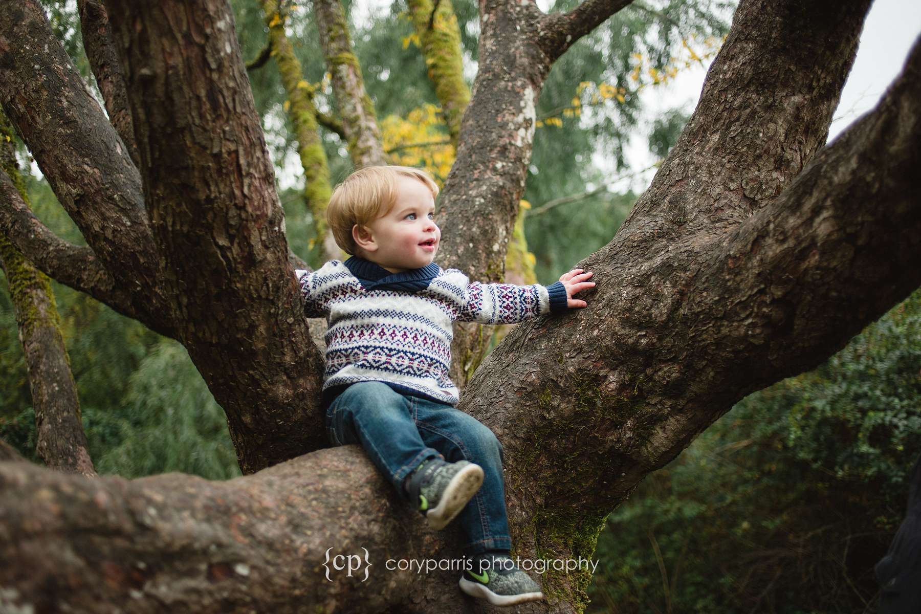 Little boy in a tree at Washington Park Arboretum