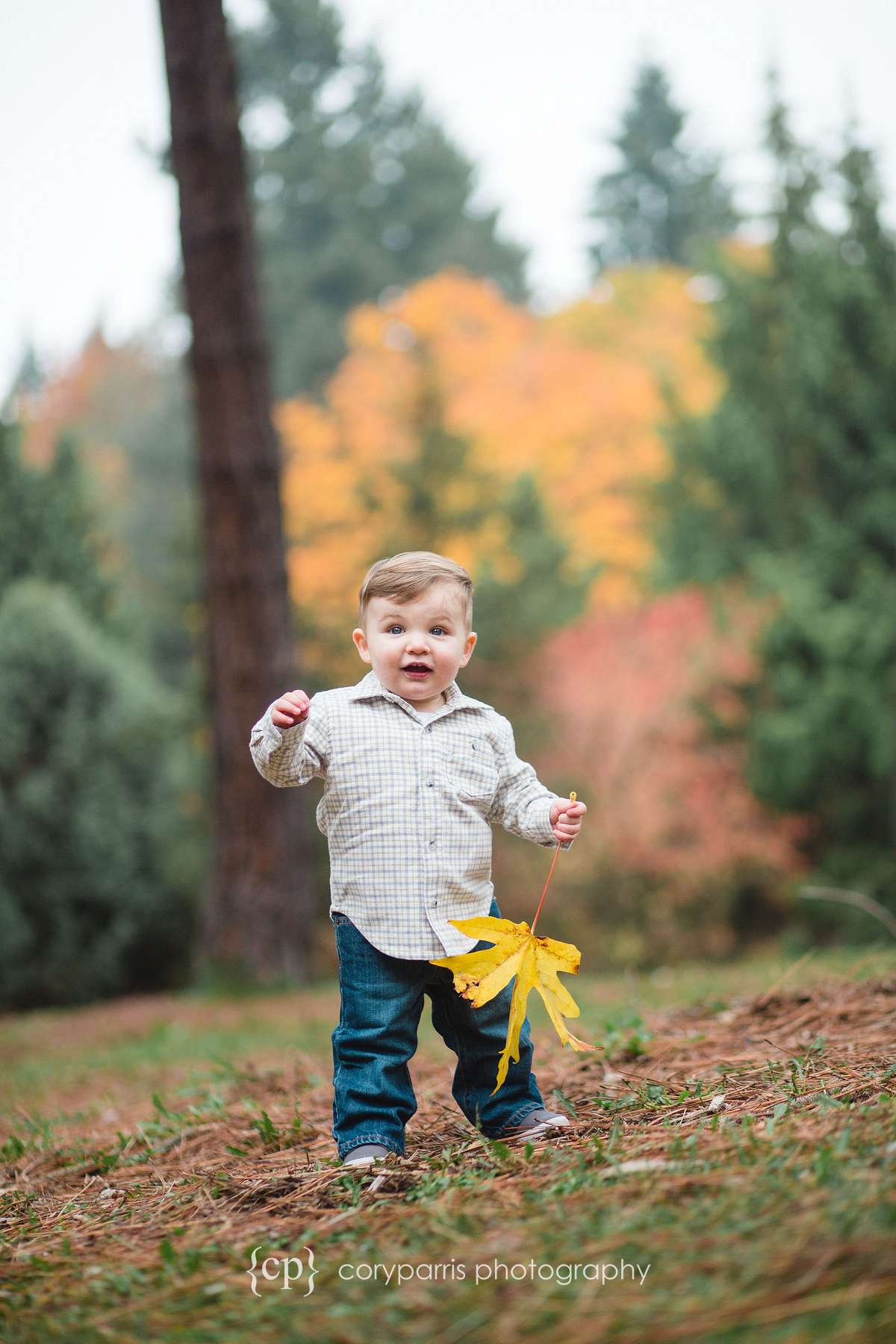 Kids portraits Seattle fall leaves