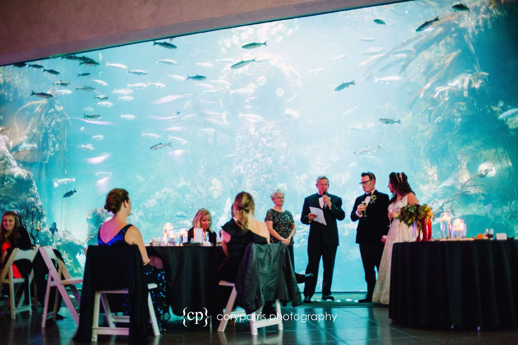 Toasts at Seattle Aquarium wedding reception