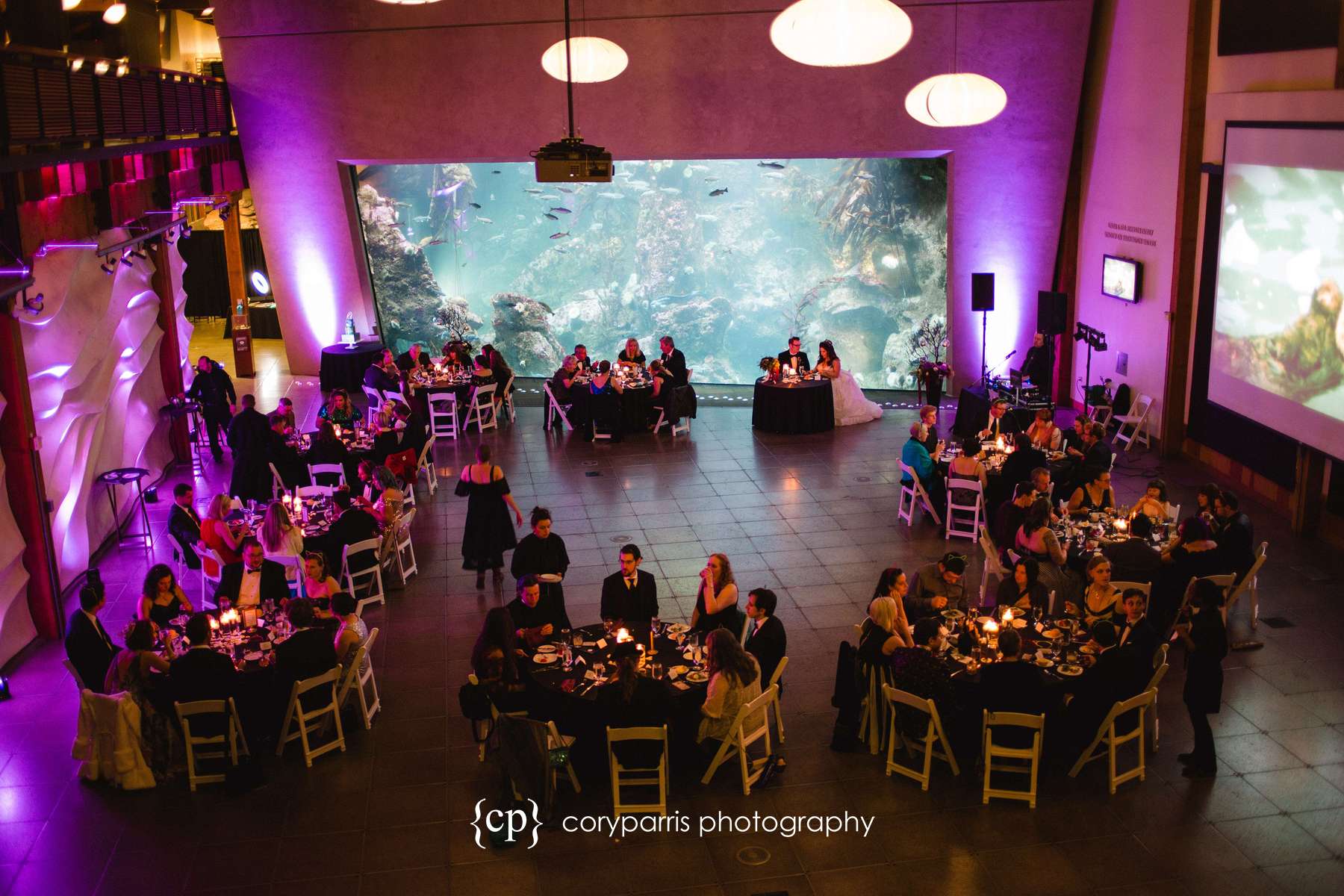 Wedding reception at the Seattle Aquarium