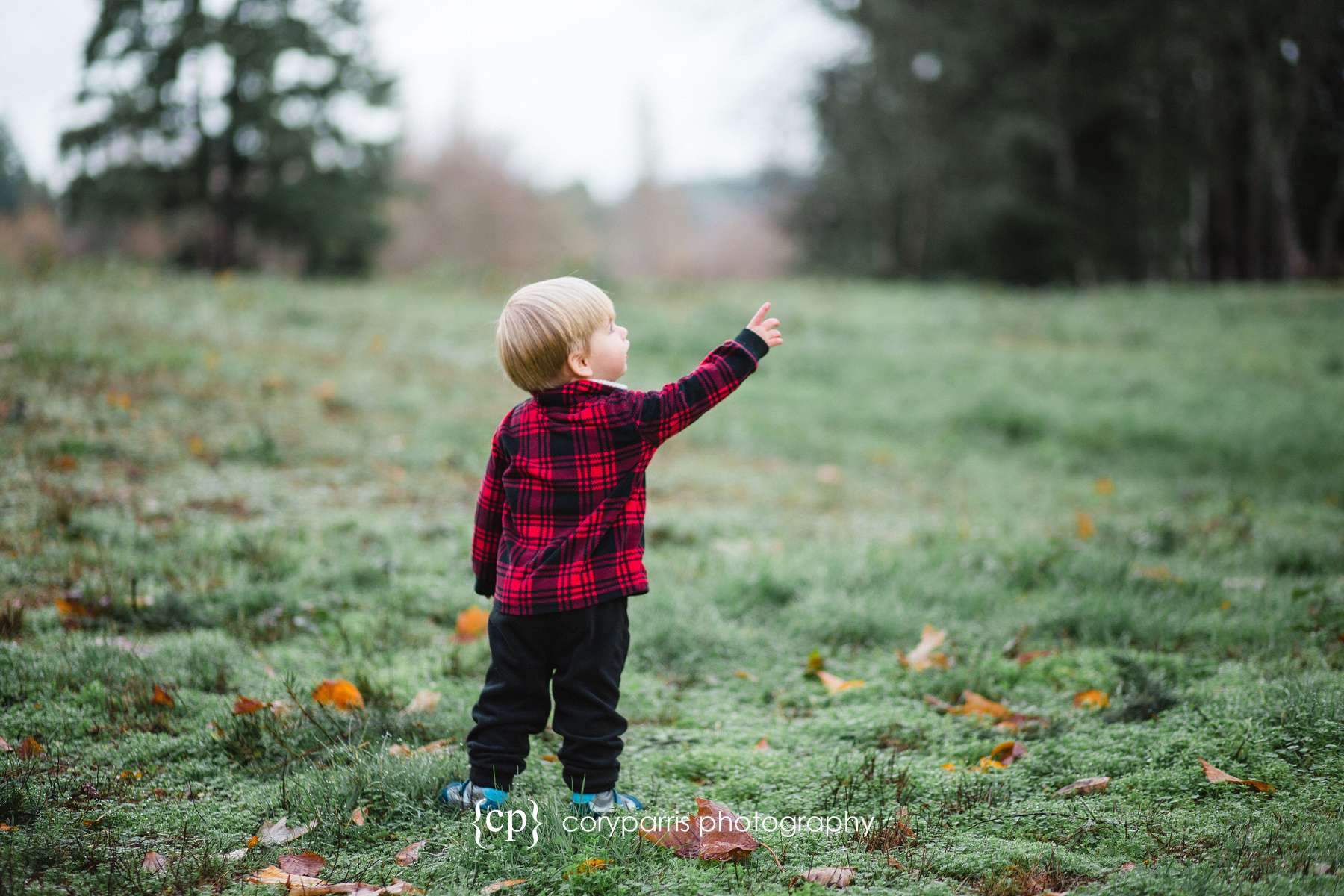Child portrait boy points at sky Bothell photography