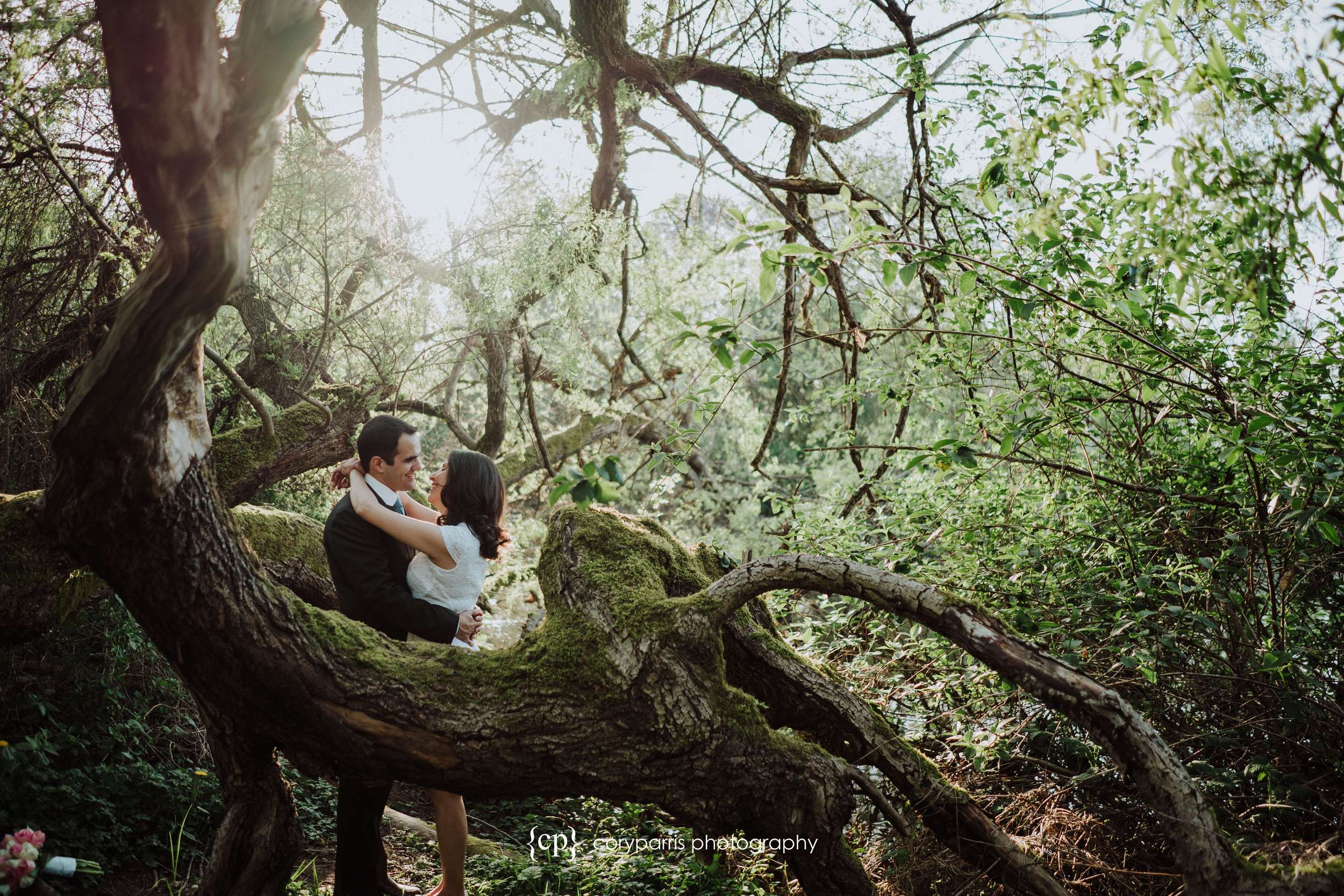 282-Arboretum-Seattle-wedding-photography.jpg