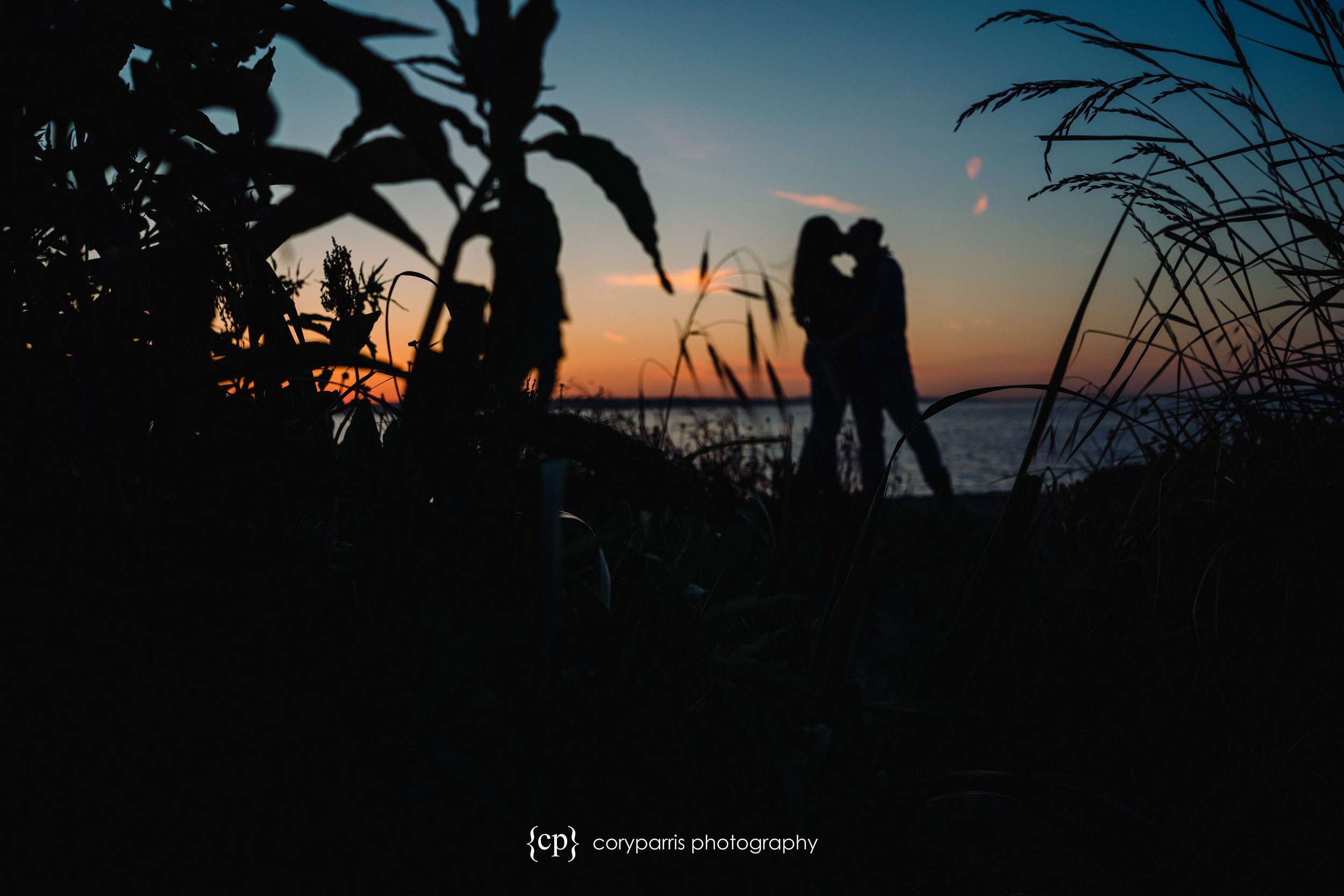  With this one, I focused on the long grass to make the couple out of focus for an artistic look.  