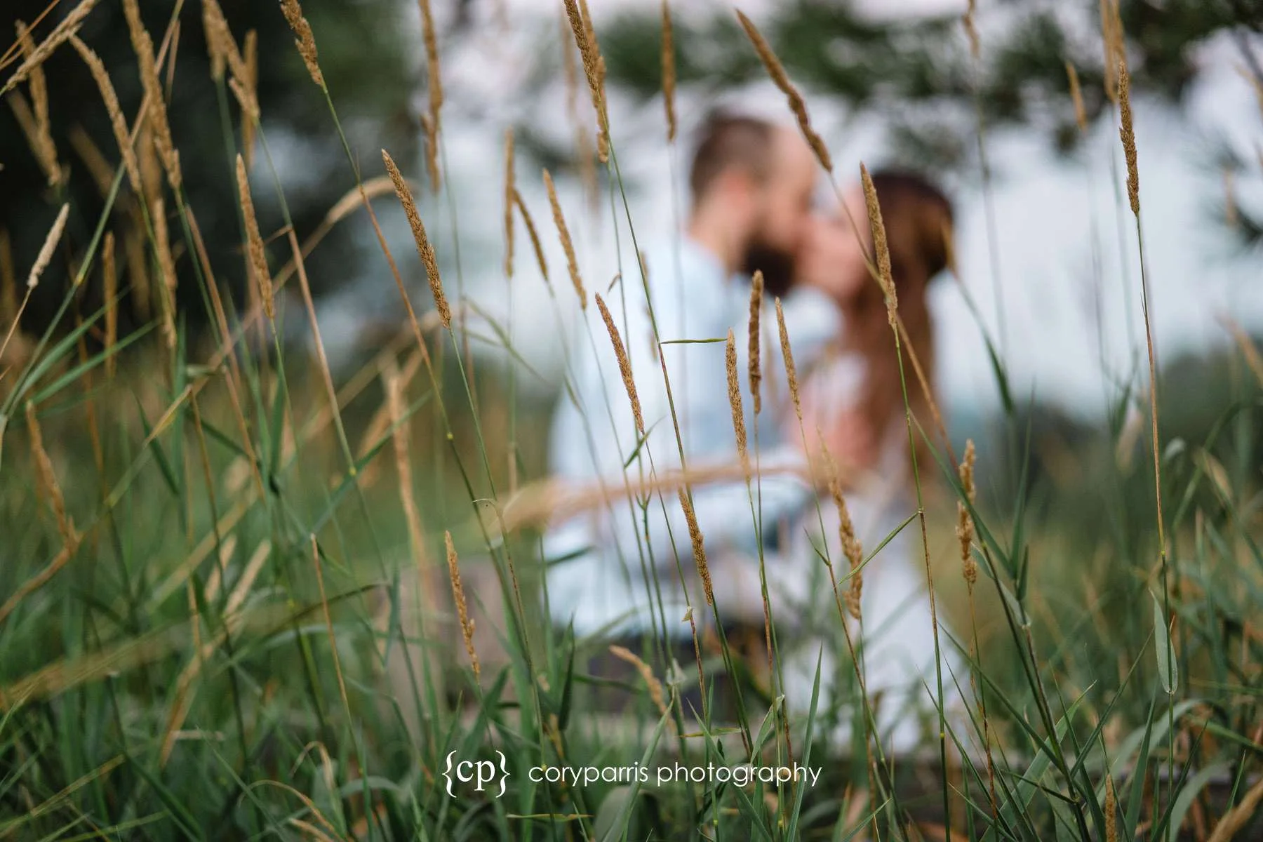 082-Engagement-Portraits-Marrymoor-Park.jpg