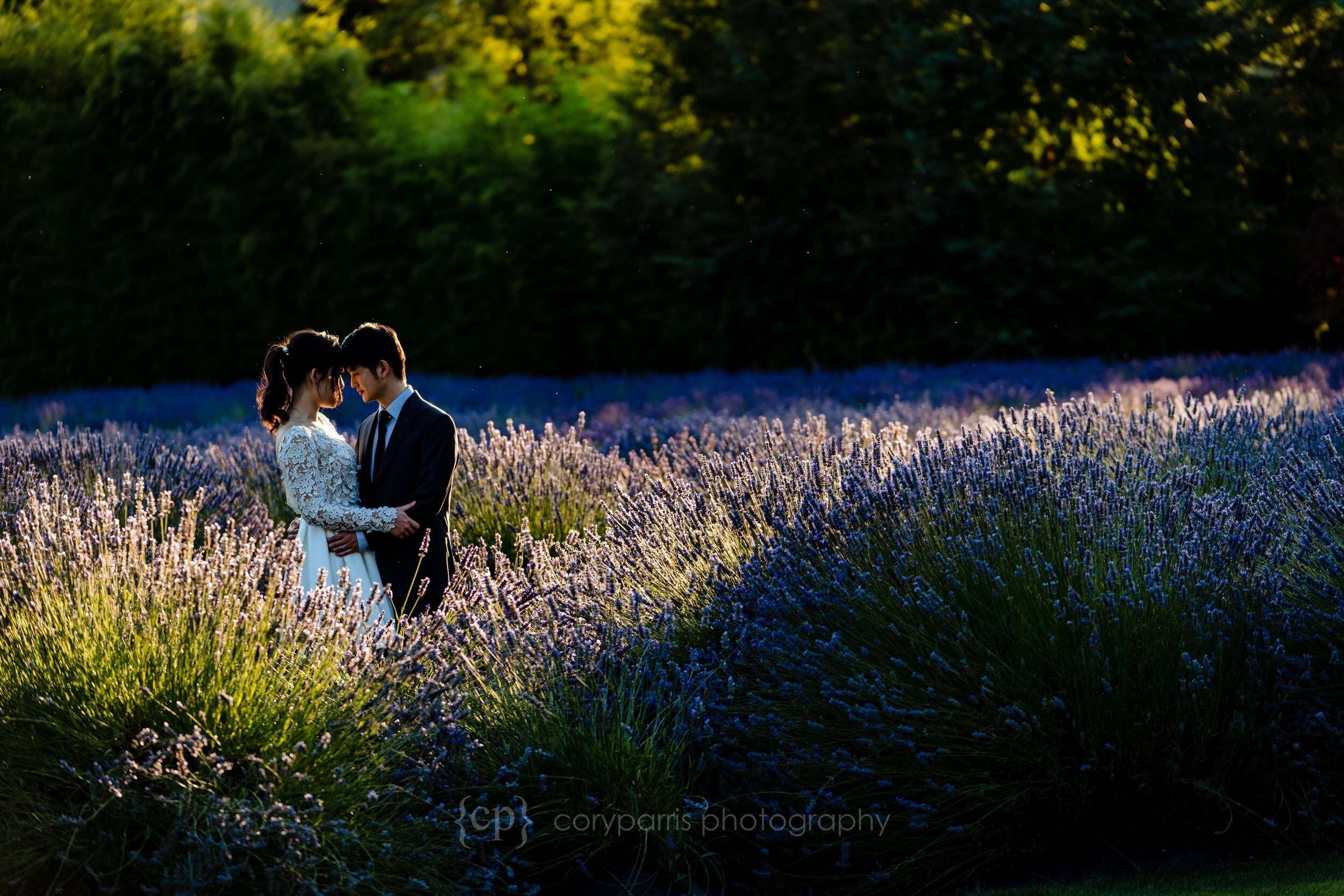 362-woodinville-lavender-elopement.jpg