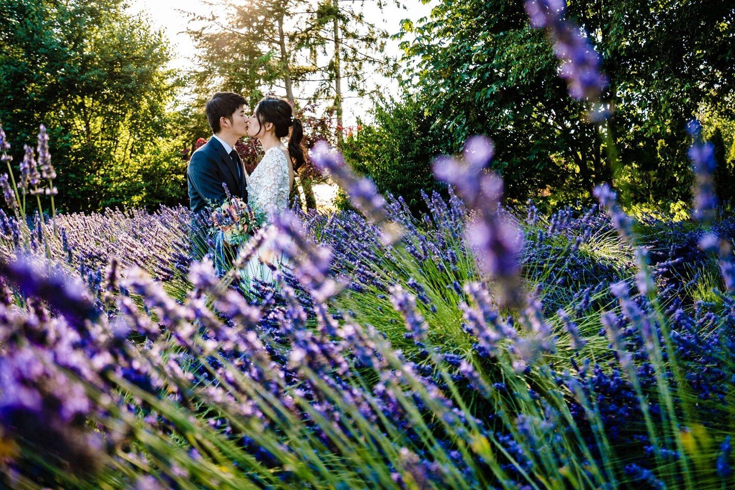 Aiko &amp; Zack at Woodinville Lavender. Being in the warm sun taking wedding portraits in a field of flowers sounds pretty awesome right now!⁠
⁠
#WoodinvilleLavender #WoodinvilleWedding #MicroWedding #SeattleElopement #Lavender #SeattlePhotographer 