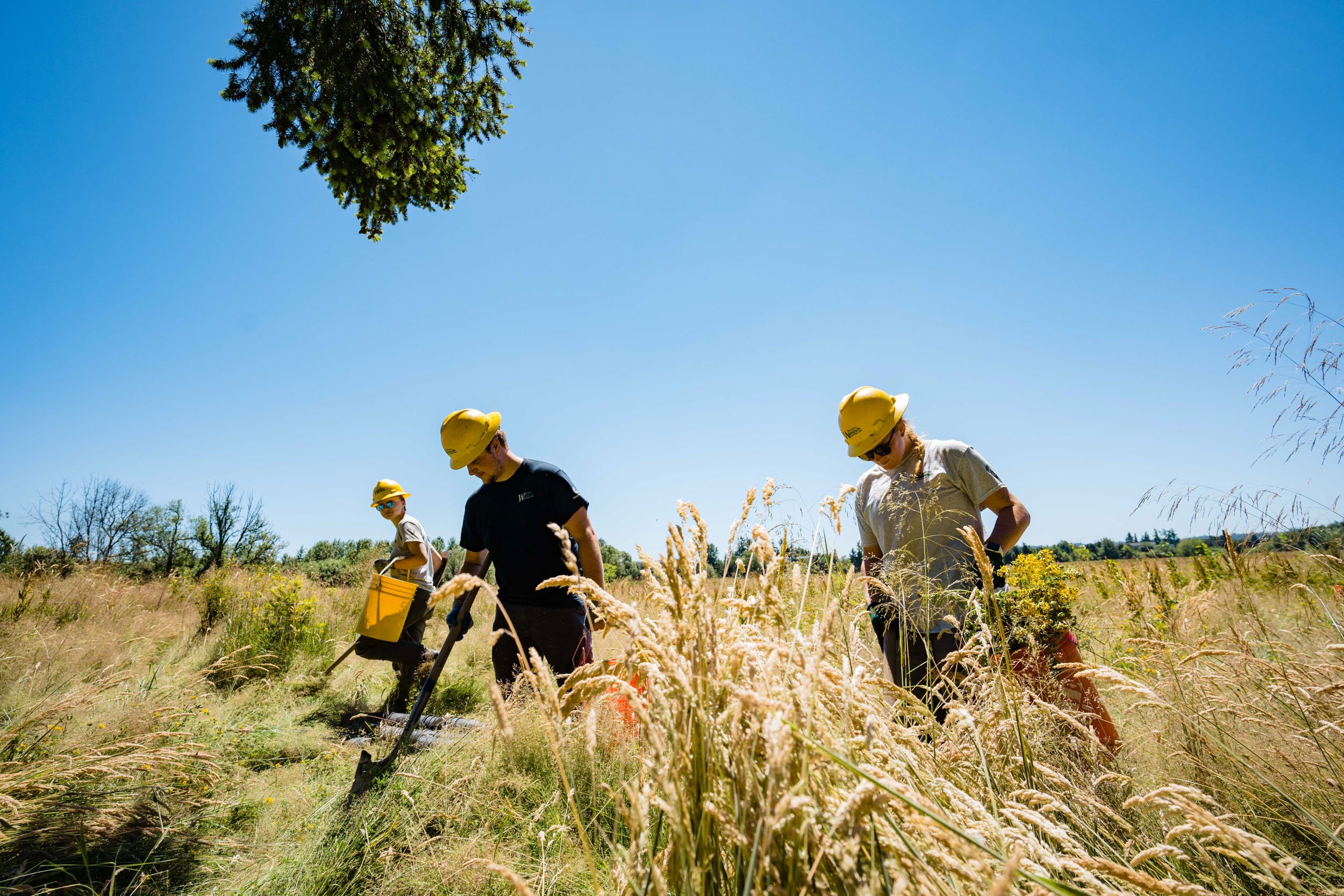 Visual Storytelling for Civic Infrastructure: A Day with the City of Redmond