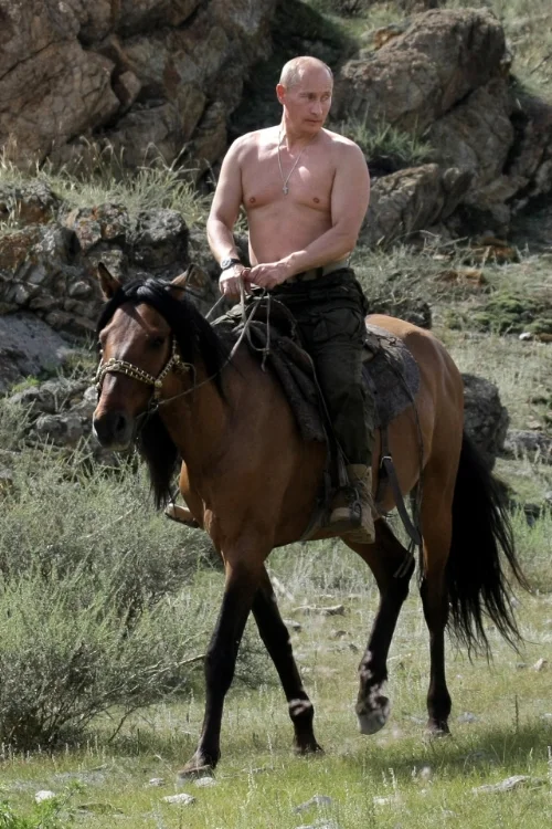 Vladimir Putin - The Mustang