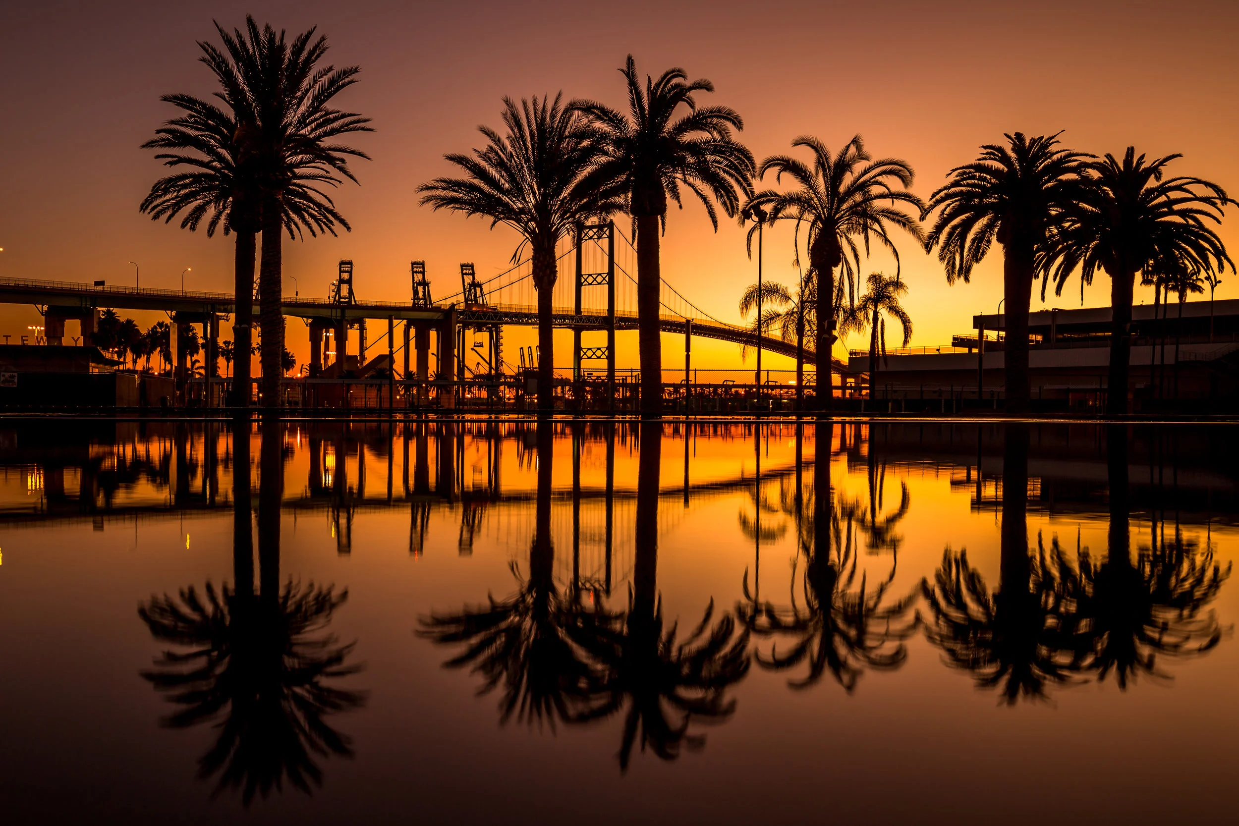 california vibes..jpg