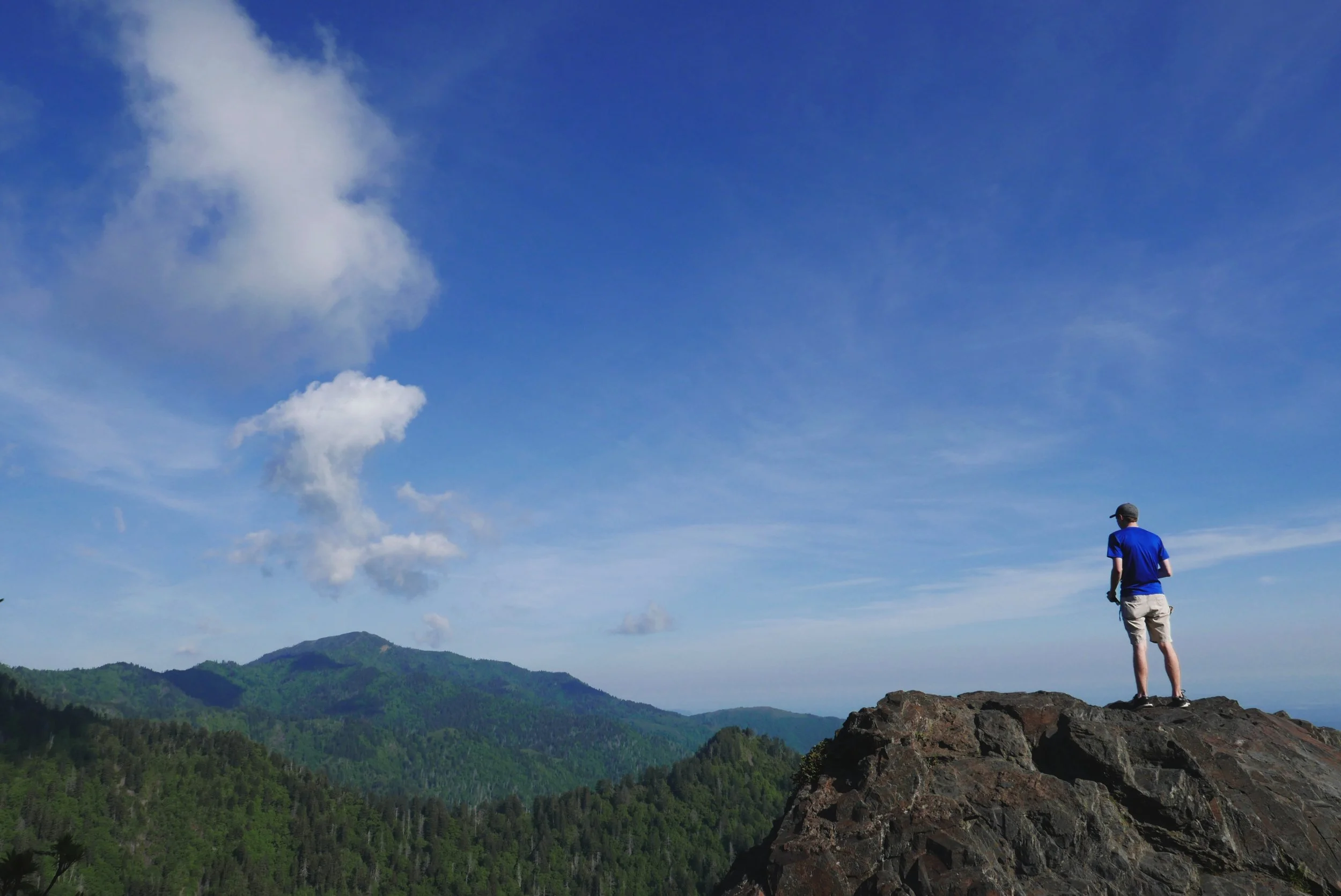 The Smokies 
