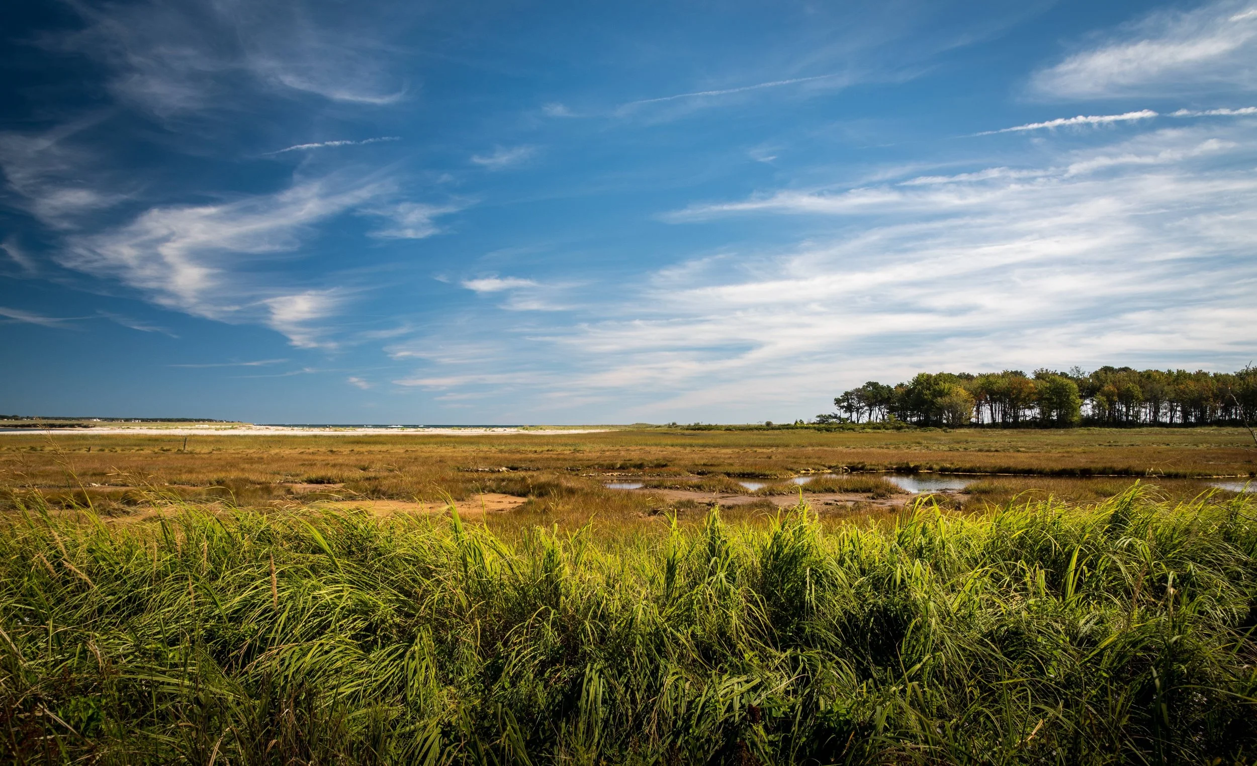wells-reserve-at-laudholm-wells-maine-usa.-wallpaper_.jpg