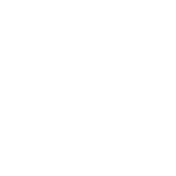 Assessment Icon