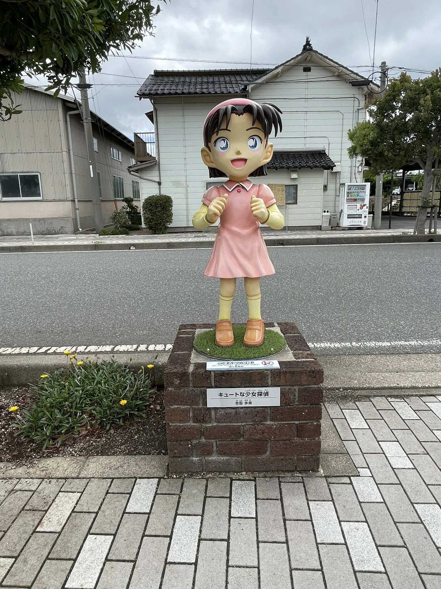 IMG_4649.JPEG